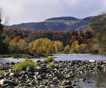 La Loire (8)