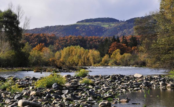 La Loire (8)