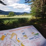 IMG-20210705-WA0077